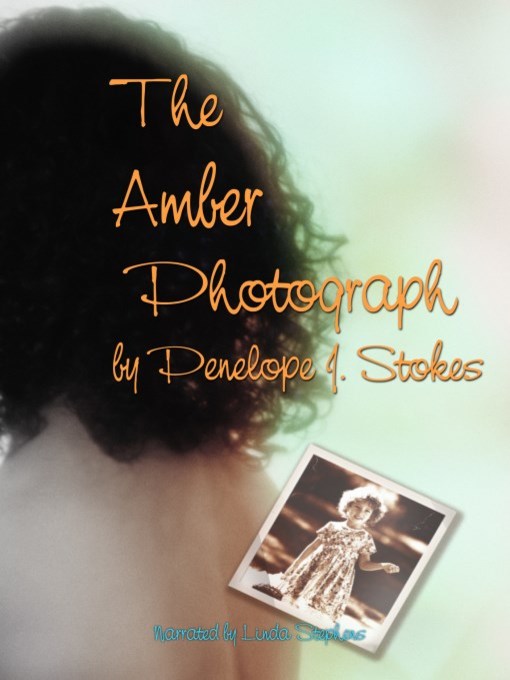 Cover image for The Amber Photograph